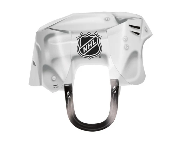 NHL Paper Hockey Helmets4ct