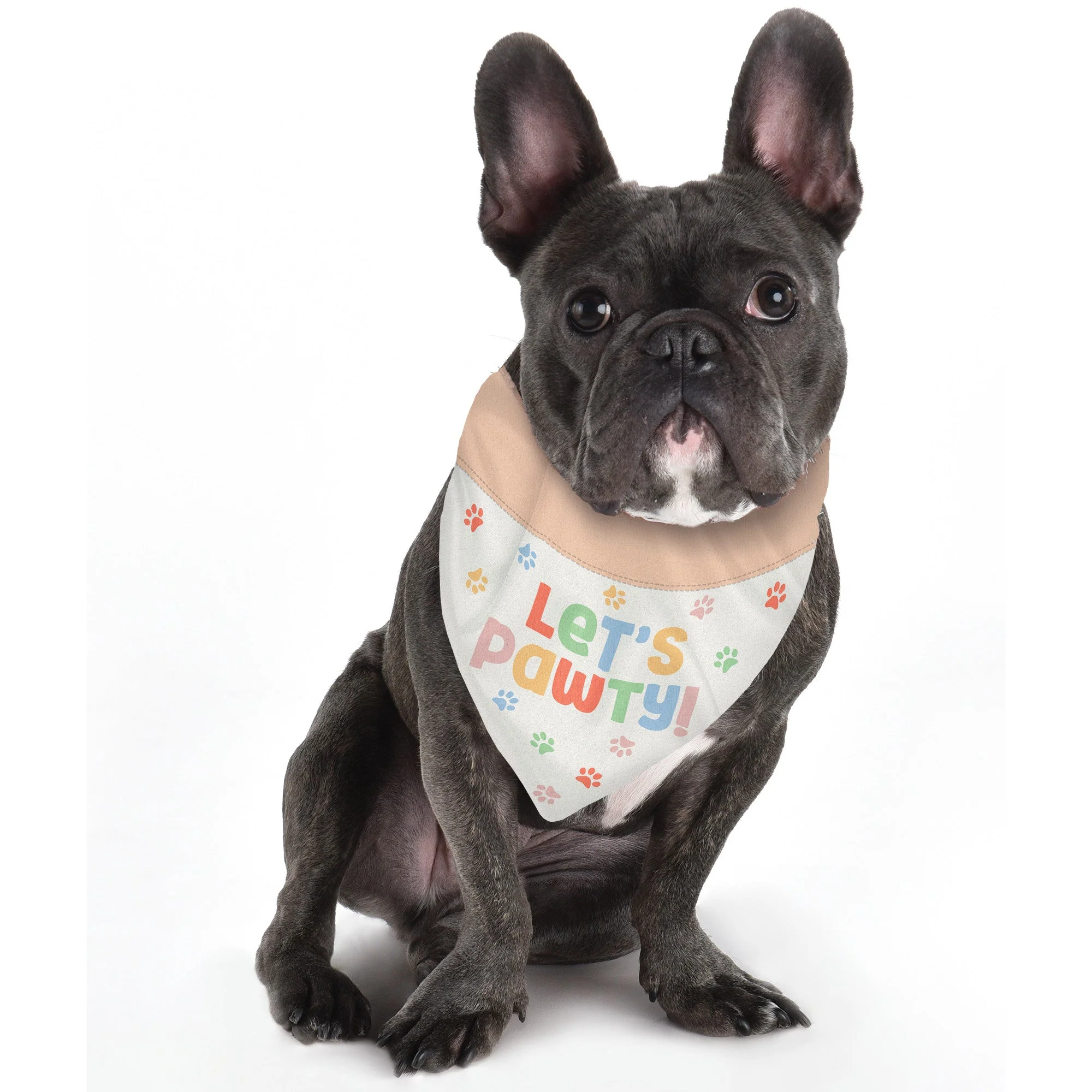 Pawsome Party Dog Bandana, 1 Count