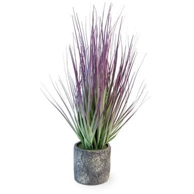 Purple Grass Cement Pot