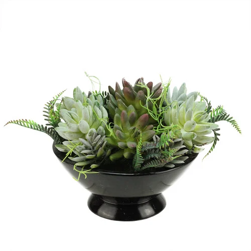 10" Green and Black Potted Artificial Mixed Succulent Plant