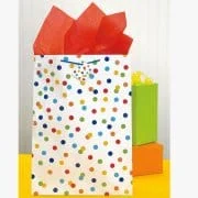 Large Rainbow Dot Confetti Gift Bag